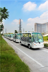 電動(dòng)觀(guān)光車(chē)案例