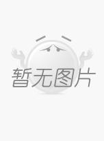 2016年上海迪斯尼瑪西爾指定用車(chē)